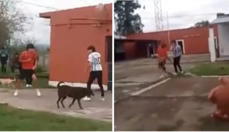Violencia en una escuela de Tucumán: un alumno apuñaló a un compañero durante una pelea tucuman 1 1 - 5