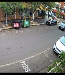 Se colgó de árboles, rompió decenas de ramas en el centro de Posadas y terminó detenido 3 24aa2c7e e623 4300 90a2 84671f890372 - 2