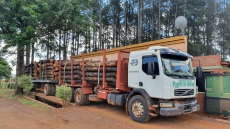 “El problema nuestro hoy es el precio”: el desafío de la industria maderera frente a Brasil Apicofom 4 - 2