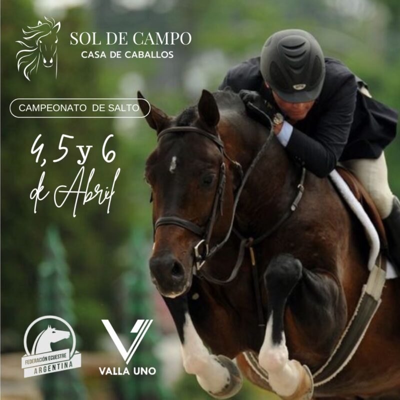 Equitación: Posadas será sede de campeonatos de la Federación Ecuestre Argentina 2 Campeonato Caballos 2 - 1