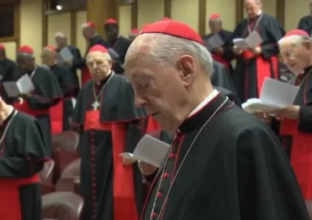 Cardenal - 8