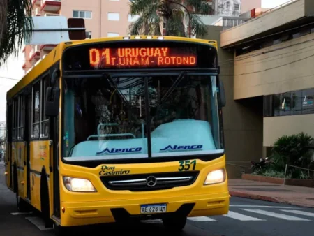 Colectivos - 3