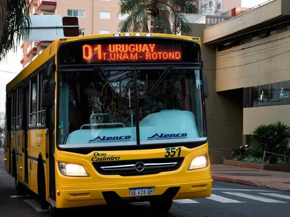 Estudiante impulsa la creación de una aplicación para mejorar el servicio de transporte urbano Colectivos - 2