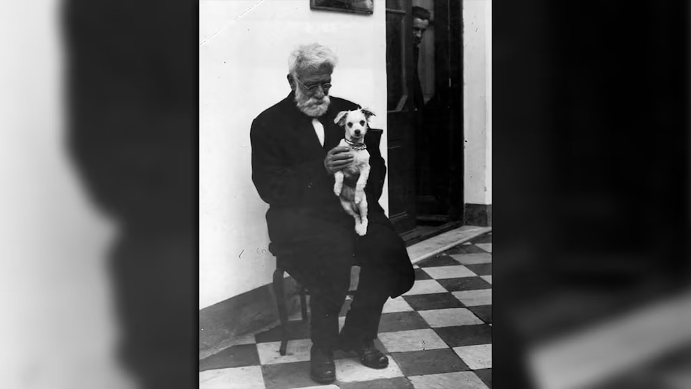 Día del animal: por qué se celebra cada 29 de abril 5 Dia del animal 1 - 4