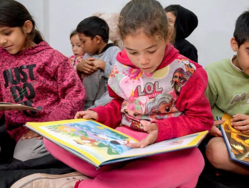 El 59% de los niños argentinos tienen menos de 20 libros en sus hogares: ¿y en Misiones? F - 1