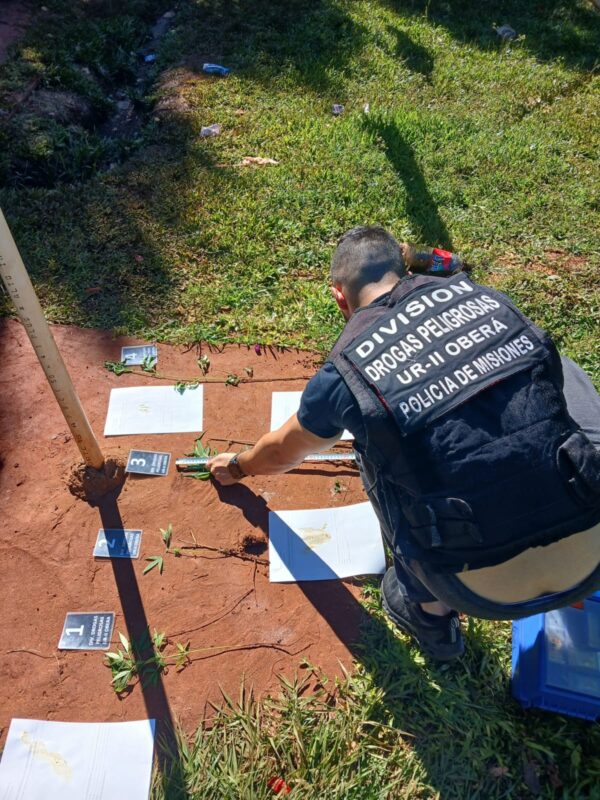 Violento asalto en Alberdi: comerciante agredida y tres detenidos 3 Imagen de WhatsApp 2025 04 14 a las 19.56.52 835d76a1 - 2