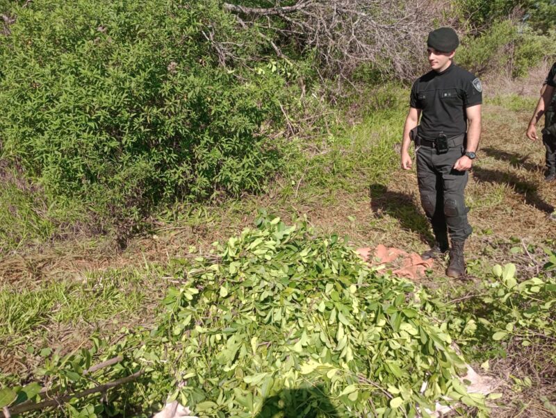 Frustran intento de robo de yerba mate en Apóstoles: un detenido 4 Imagen de WhatsApp 2025 04 16 a las 18.28.57 22fbb581 - 3