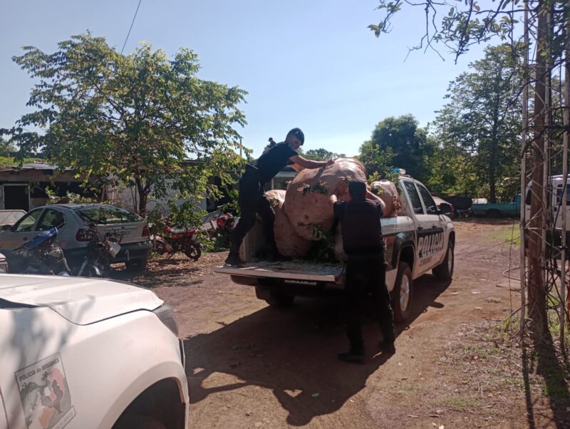 Imagen de WhatsApp 2025 04 16 a las 18.28.58 c0271846 - 3