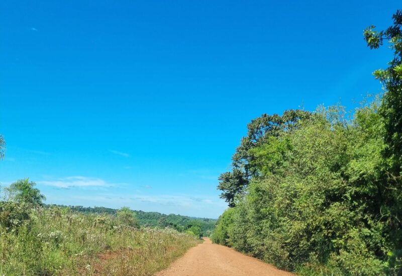 Inicio de semana soleado con temperaturas agradables en Misiones Imagen de WhatsApp 2025 04 20 a las 18.47.17 6d62bb62 - 4