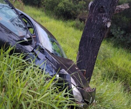Imagen de WhatsApp 2025 04 27 a las 12.19.02 bccb3fcc e1745768286690 - 3