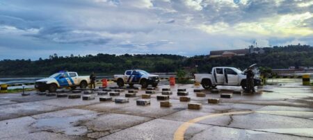 Incautaron marihuana valuada en casi cuatro millones de pesos en Misiones Prefectura - 7