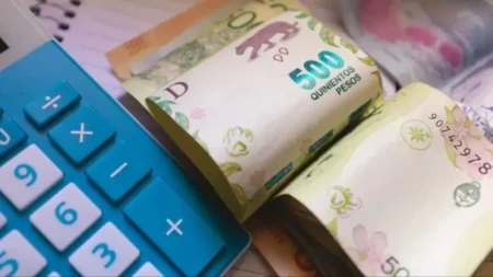 Los salarios perdieron contra la inflación de noviembre pero, según INDEC, les fue mejor en 2025 El Consejo del Salario fracasó otra vez y el Gobierno deberá definir por decreto el nuevo piso de ingresos para trabajadores formales.