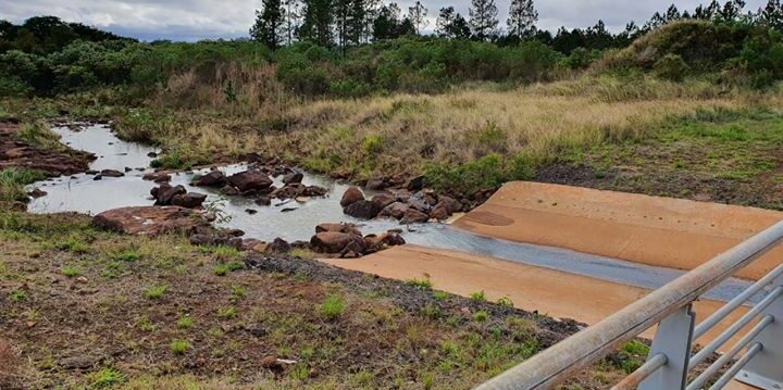 arroyo apepu e1744118598635 - 4