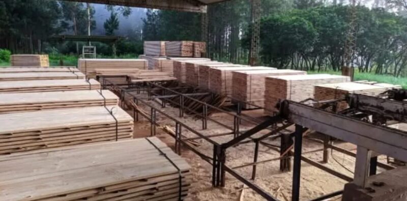 Cierre de un aserradero en Eldorado: “20 familias se quedan sin el ingreso diario” candelaria aserradero