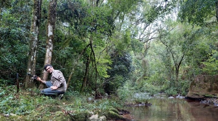 Los corredores de bosques nativos son cruciales para la fauna de Misiones 3 corredores4 - 2