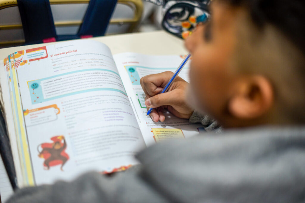 Pruebas Aprender: "Por la desigualdad socioeconómica, uno de cada cinco niños no leen textos simples" Misiones alertó que el enfoque pedagógico de las evaluaciones estandarizadas muchas veces entra en contradicción con las metodologías de enseñanza actuales.