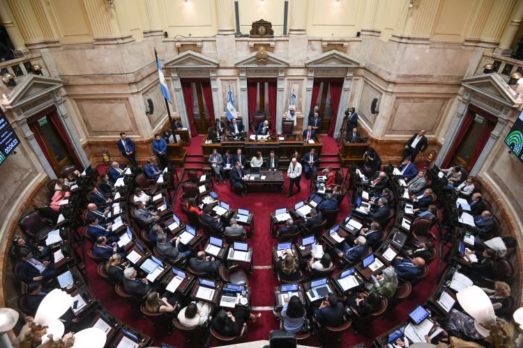 El Senado debatirá Ficha Limpia y la emergencia en Bahía Blanca el 9 de abril 4 image 49 - 3