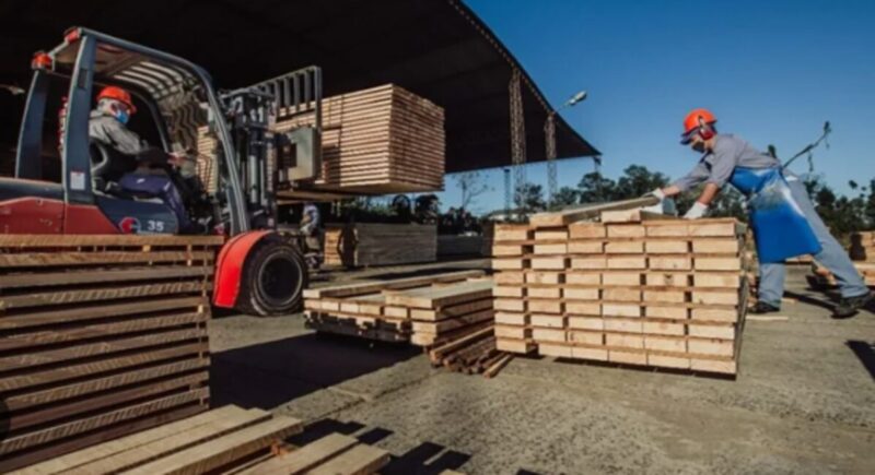 Madera misionera: “Estamos trabajando con listas de precios de septiembre del 2024” Productores y empresarios reclamaron una revisión de las normas que afectan al campo y la forestoindustria, al considerar que hoy generan más obstáculos que incentivos para producir.
