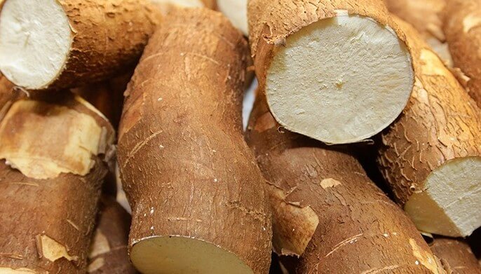 Semáforo del agro: yerba y mandioca en rojo; amarillo para tabaco y sector forestal 5 mandioca - 4