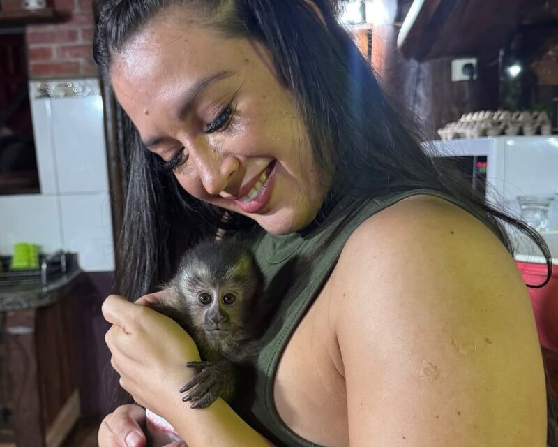 Piesco insiste en la necesidad de endurecer las medidas legales contra quienes tengan animales silvestres de forma ilegal y en fortalecer las campañas de concientización.