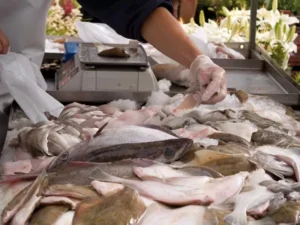 pescado - 2