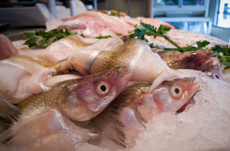 pescado2 - 1