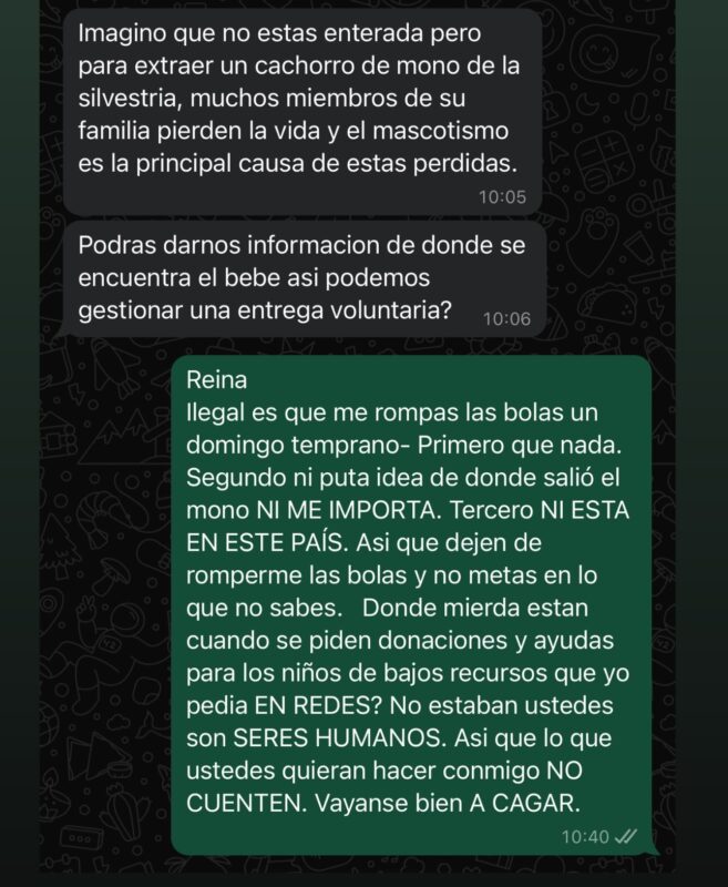“Maxi”, el mono que desató un enfrentamiento de influencer con Ecología y una ONG 6 respuesta a ohana - 5