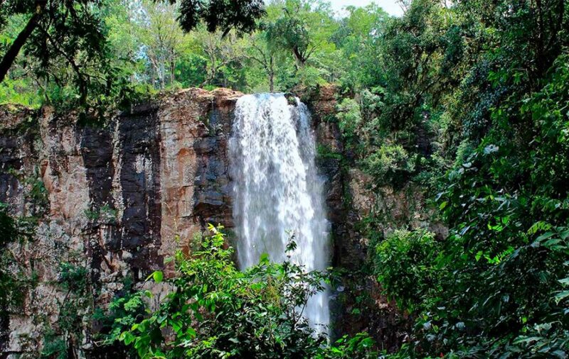 Somos Naturaleza: reflexiones en torno al agua y al planeta vivo 2 "En general, uno dice “naturaleza” cuando ve un árbol, un pastito, un animal, etc. Es cierto, todo eso es naturaleza, pero nosotros también lo somos". (Somos Naturaleza: reflexiones en torno al agua y al planeta vivo, Juan Yahdjian)