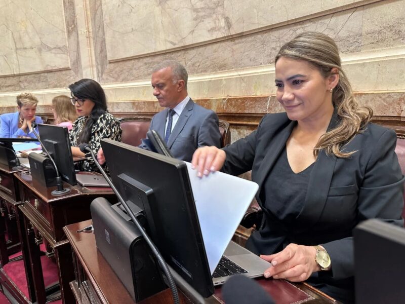 Sonia Rojas Decut anticipó a Radio Up que votarán a favor de la Ley Ficha Limpia sonia rojas decut - 1