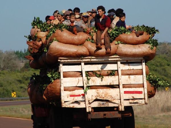 Día Nacional del Tarefero: una fecha para reconocer el esfuerzo detrás del mate 3 Miles de trabajadores rurales sostienen cada año la cosecha de yerba mate, una actividad clave para Misiones y el país.
