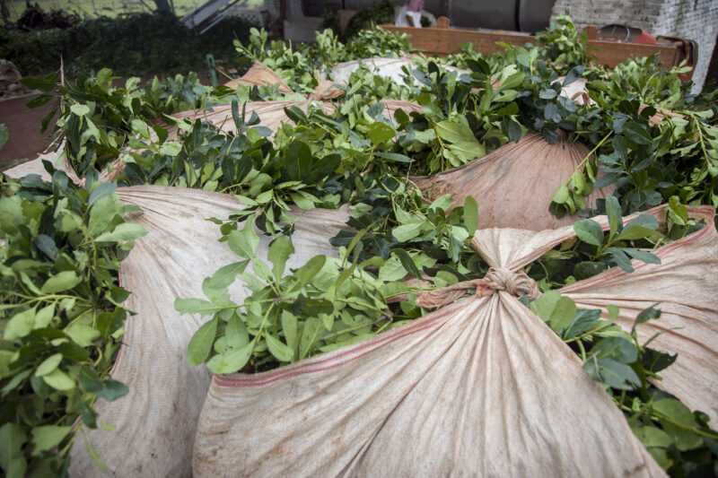 Yerba mate bajo presión: alertan que el decreto 812 consolida oligopolios y concentra tierras 3 El economista del IPEC, Darío Díaz, alertó que la desregulación de la yerba mate puede repetir el ciclo de los 90: sobreproducción, derrumbe de precios y expulsión de productores.