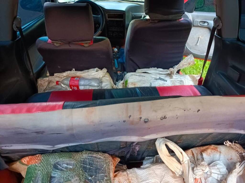 149 kilos de marihuana en misiones 3 - 3