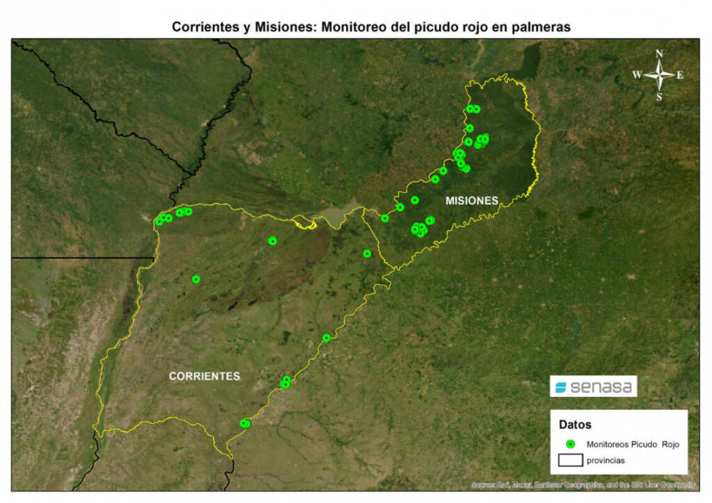Misiones refuerza la vigilancia fitosanitaria para evitar el ingreso del picudo rojo a sus palmeras 3 Los puntos de Misiones y Corrientes recorridos por el personal del Senasa buscando la presencia del Picudo rojo