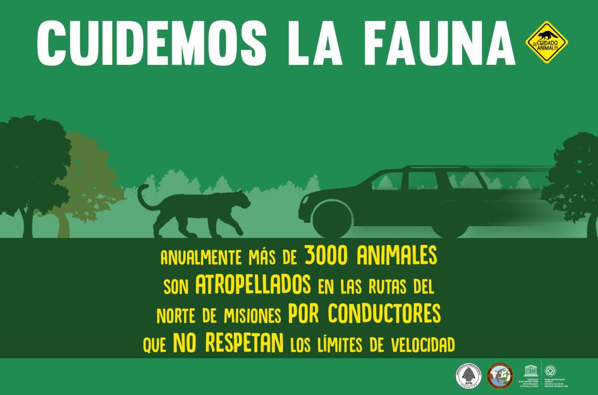 No respetó el límite de velocidad y terminó en el monte del Parque Nacional Iguazú 4 50268095 2498722393490585 903441792278462464 n - 3