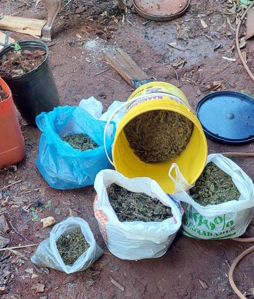 San Vicente: en bunker allanado se incautó marihuana, armas y detuvo a narco 7 66ac3b2f d55f 427b a1ac b5ee022b49b7 - 6