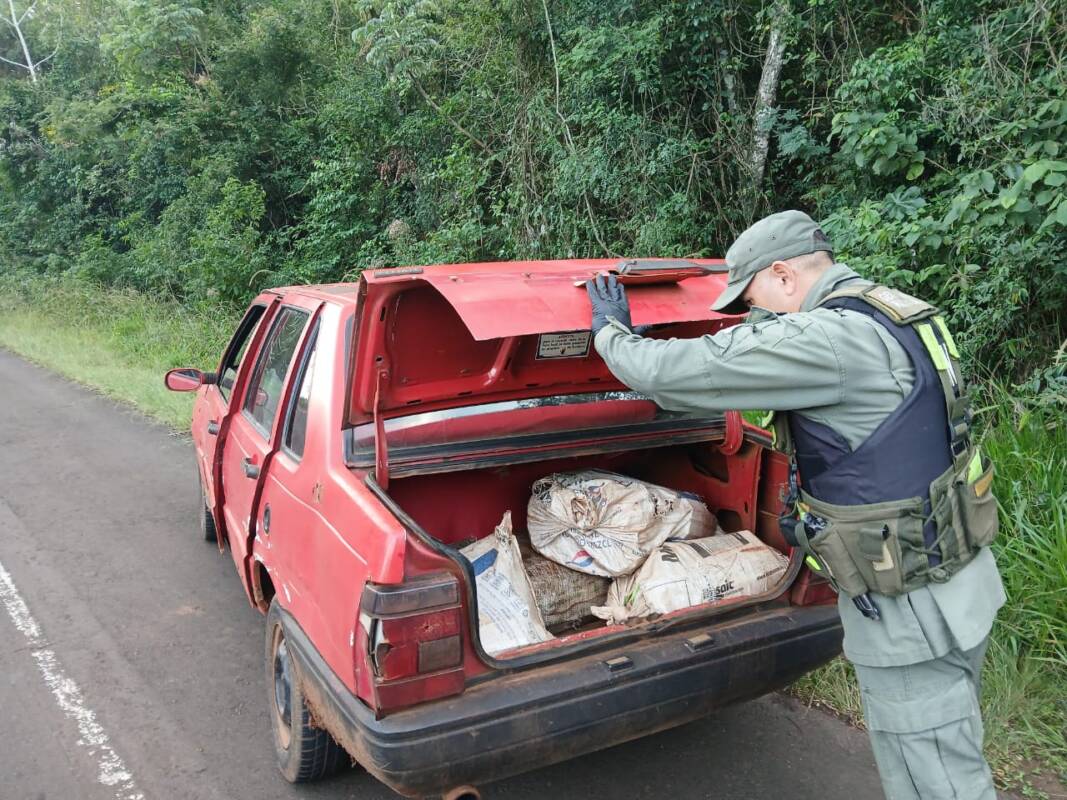 Incautaron casi 150 kilos de marihuana en operativo sobre la ruta 7 en Misiones 2 Cargamento de marihuana
