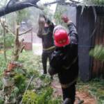 Imagen de WhatsApp 2025 05 09 a las 19.14.24 09a56138 - 18