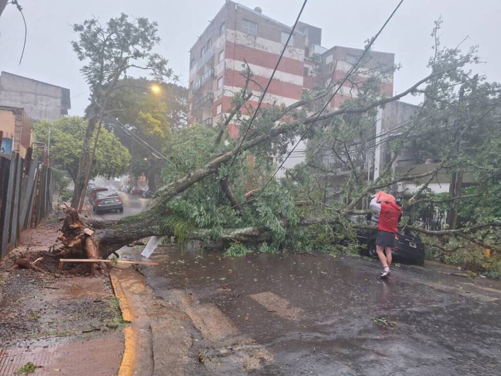Imagen de WhatsApp 2025 05 09 a las 19.14.26 c22a68ac - 1