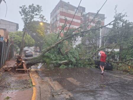 Imagen de WhatsApp 2025 05 09 a las 19.14.26 c22a68ac - 4