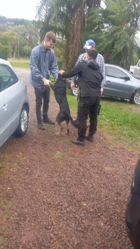 “Despedida a Negrito”: el perro que conquistó a la Policía de Oberá 5 Imagen de WhatsApp 2025 05 09 a las 21.01.49 6188b26d - 4