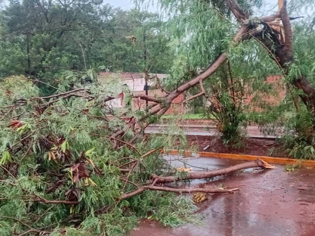 Fuerte temporal azotó Posadas y Garupá: barrios anegados y alerta vigente Imagen de WhatsApp 2025 05 18 a las 12.55.03 e62fdb85 - 2