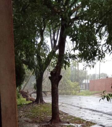 Fuerte temporal azotó Posadas y Garupá: barrios anegados y alerta vigente 8 Imagen de WhatsApp 2025 05 18 a las 12.55.50 94d3ac3a e1747584238122 - 7