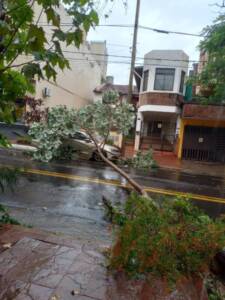 Imagen de WhatsApp 2025 05 18 a las 16.59.05 d27f6bc1 - 6