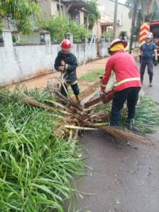 Imagen de WhatsApp 2025 05 18 a las 16.59.09 e6f84401 - 14