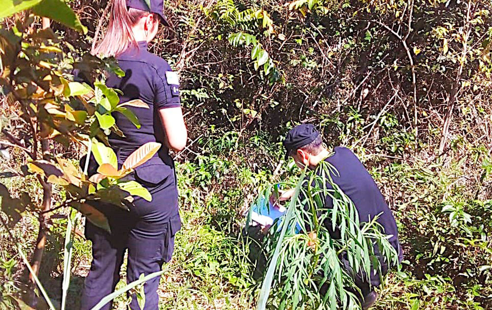 Fue imputado el hombre que apuñaló 27 veces a una joven mbya en Iguazú 3 Mbya femicidio - 2