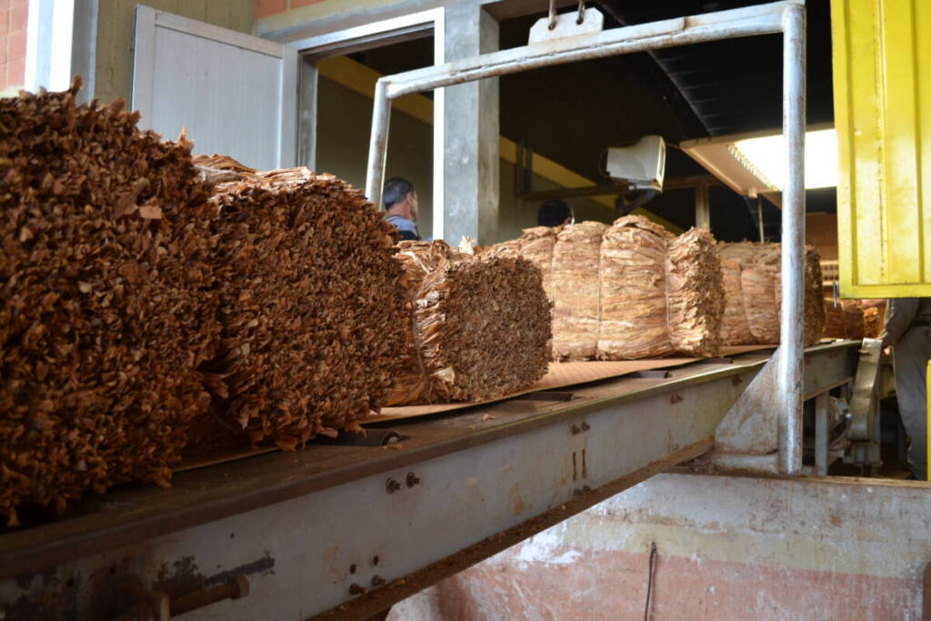 Ordenan informar el precio del cigarrillo y el Fondo Especial del Tabaco 2 La Resolución 5729/2025 modifica la normativa vigente sobre el Fondo Especial del Tabaco. Desde ahora, el precio del cigarrillo y el adicional fijo del FET se publicarán de forma digital en el micrositio oficial de ARCA.
