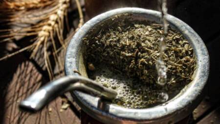 Dos provincias impondrán fuertes multas por tomar mate al manejar: conocé cuales son mate