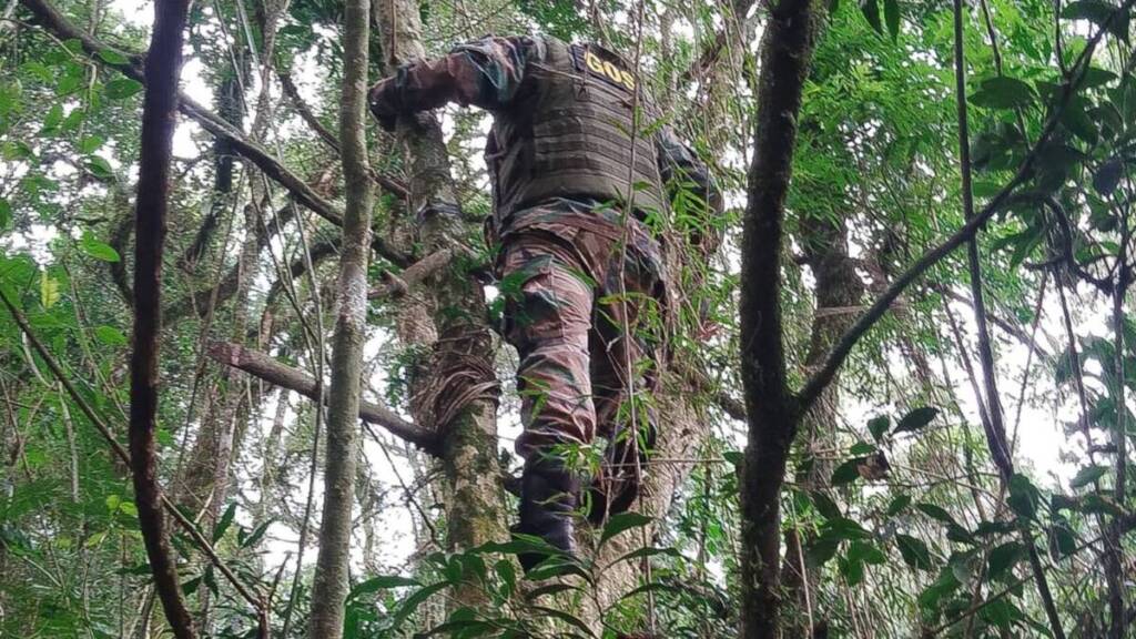 Caza furtiva en el Parque Provincial Caá Yarí: desactivan múltiples trampas contra la fauna WhatsApp Image 2025 05 28 at 18.43.51 - 1