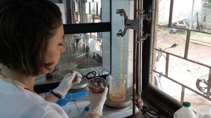 Fuerte caída en la demanda en los Laboratorios bioquímicos de Misiones 2 WhatsApp Image 2025 05 29 at 12.08.21 - 1