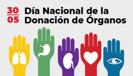 Por qué se conmemora hoy el Día Nacional de la Donación de Órganos y Tejidos donación de órganos